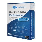 NARBULUT Backup Now 100GB Professional Edition -1 SERVER - 1 YIL