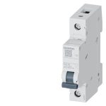 Sıemens Monofaze Otomatik Sigorta 1P B 6A 4.5Ka