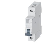 Sıemens Monofaze Otomatik Sigorta 1P B 32A 4.5Ka