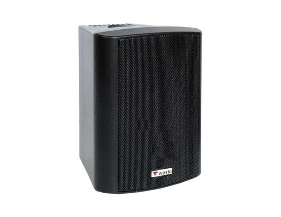 ws-5tb-sutun-tipi-hoparlorler-westa-938-31-B WS-5TB - 5,25" 13cm 125W 16Ohm - Plastik Kabin Hoparlör - Siyah - Görsel 1