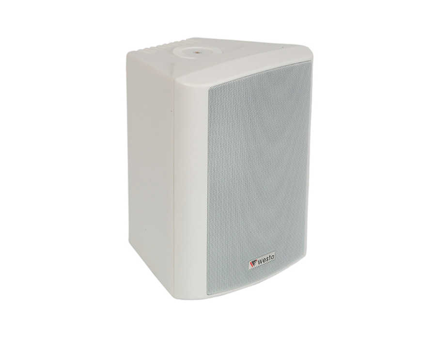 ws-8tw-sutun-tipi-hoparlorler-westa-942-31-B WS-8TW - 8" 20cm 180W 16Ohm - Plastik Kabin Hoparlör - Beyaz - Görsel 1