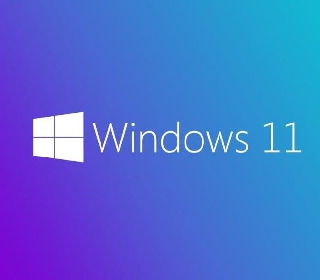 SW110MIC0069_44910 MS WINDOWS 11 PRO 64 BIT INGILIZCE OEM FQC-10528 - Görsel 1