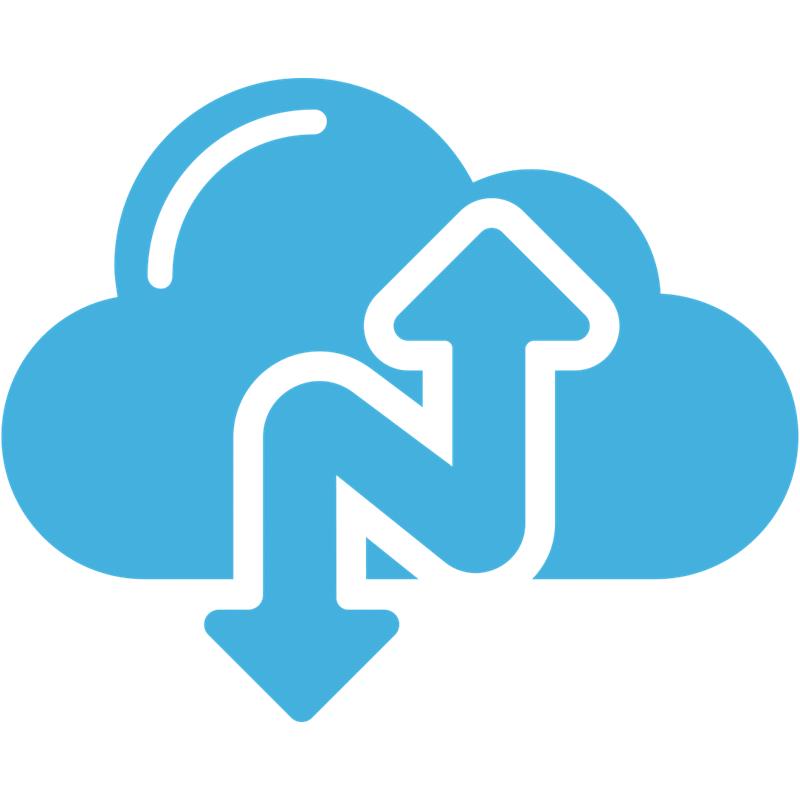 SW167NRB0036_58512 NARBULUT EASY IMAGE BACKUP FOR PHYSICAL SERVER SUBSCRIPTION LICENSE - 1 YEAR OF BASIC SUPPORT IS INCLUDED. - Görsel 1
