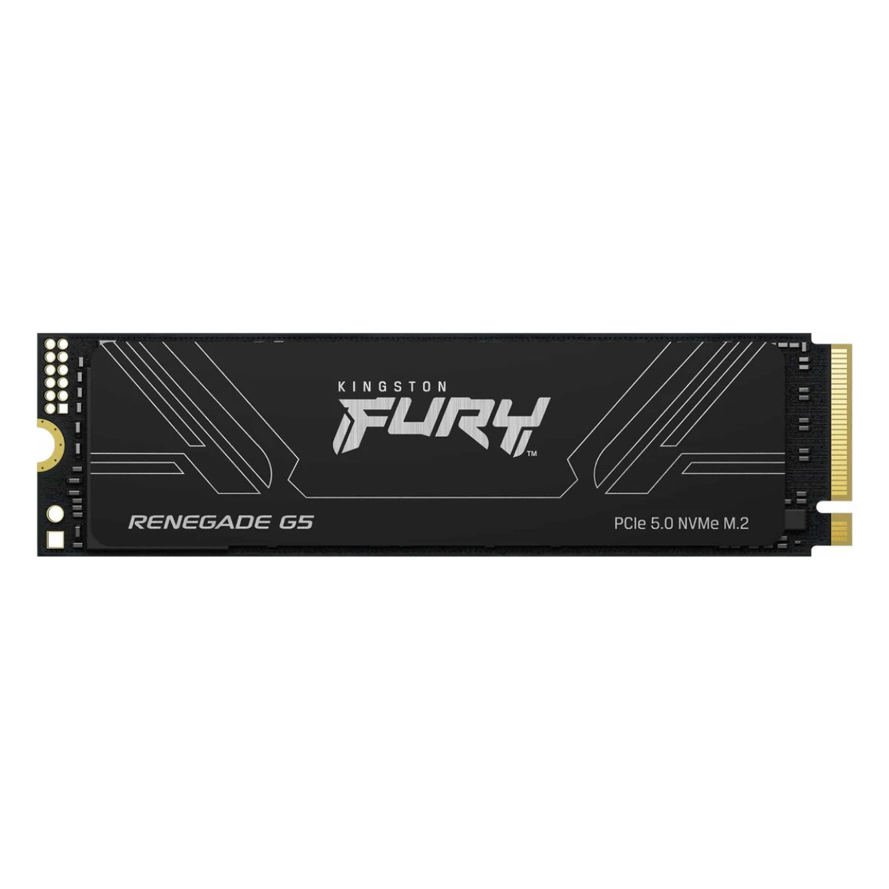ayJbiGC8DD1sC9fhFuH0Bb94PuDu61SdhXnKY8hi Kingston Renegade G5 1TB M.2 2280 14200-11000MB/s PCIe 5.0 SRNG2S/1T0 - Görsel 1