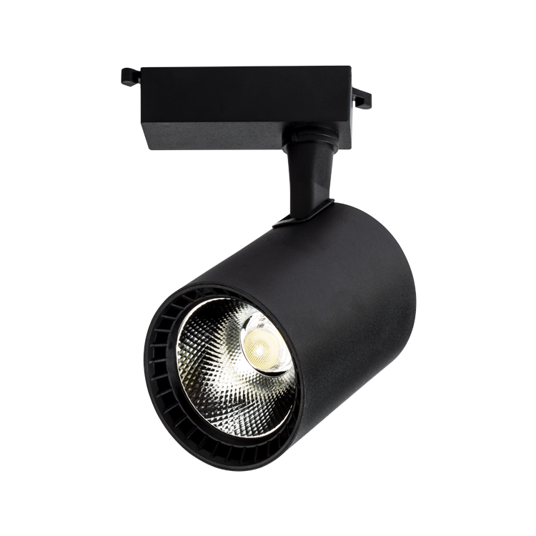 org_637811258427384285 Noas Ledli Ray Spot 30W 3200K Siyah Paris - Görsel 1